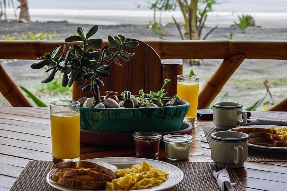 Seaside Garden Ecolodge モンピチェ エクステリア 写真