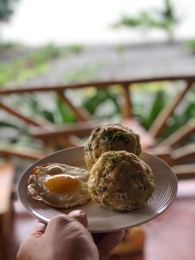 Seaside Garden Ecolodge モンピチェ エクステリア 写真