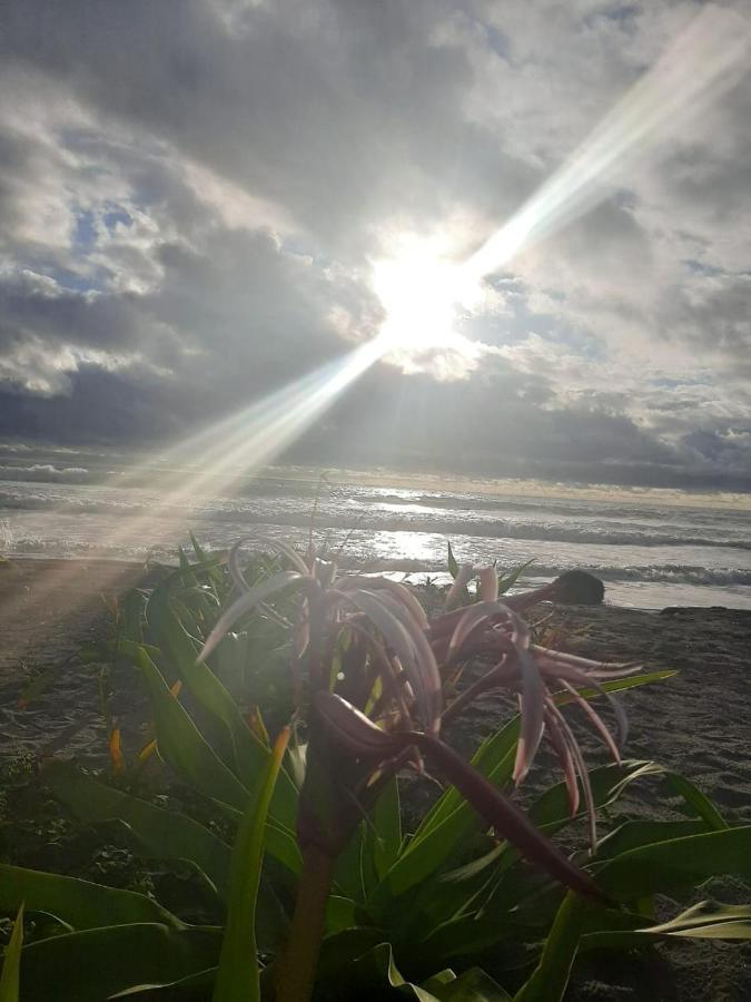 Seaside Garden Ecolodge モンピチェ エクステリア 写真