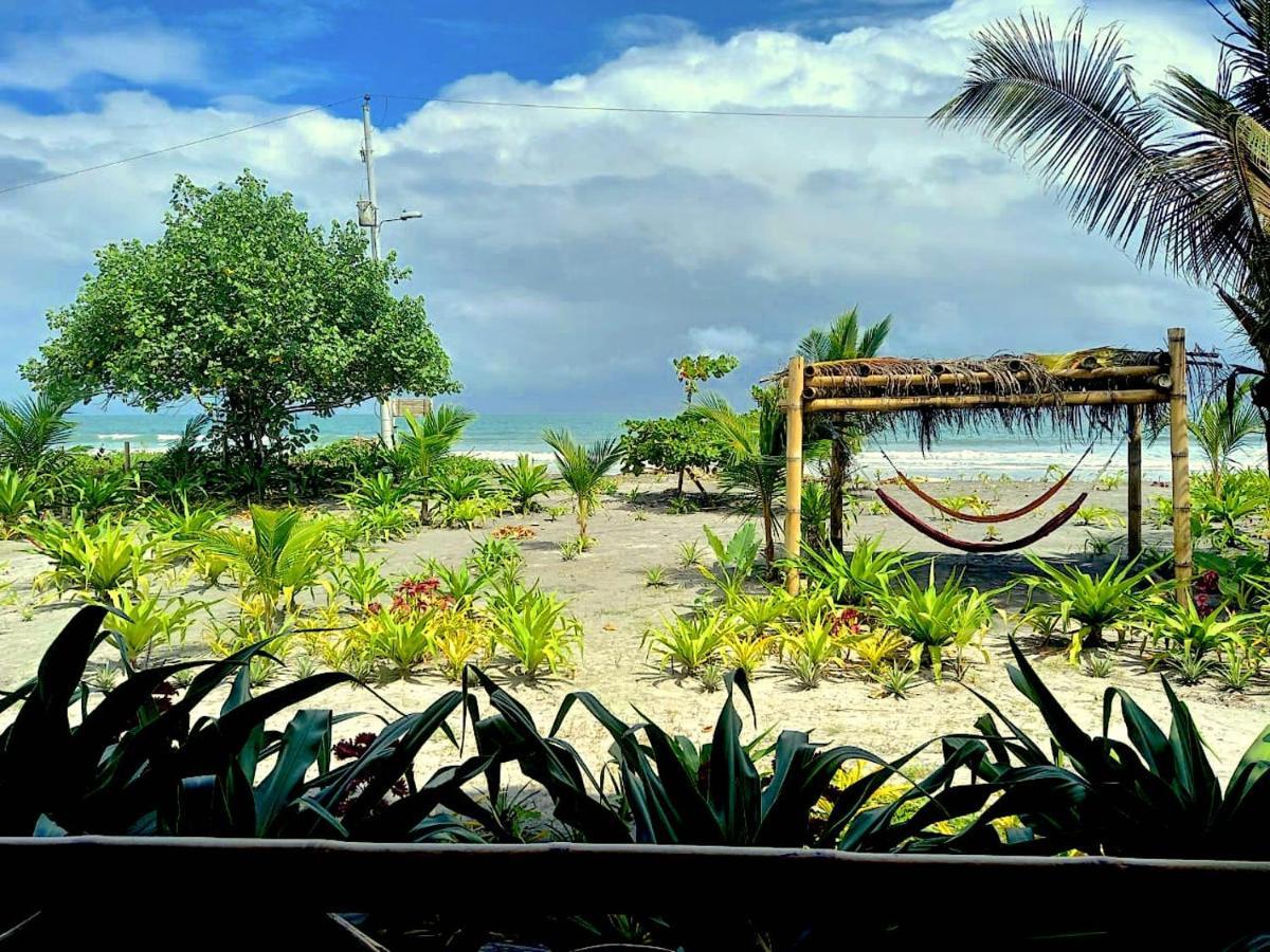Seaside Garden Ecolodge モンピチェ エクステリア 写真