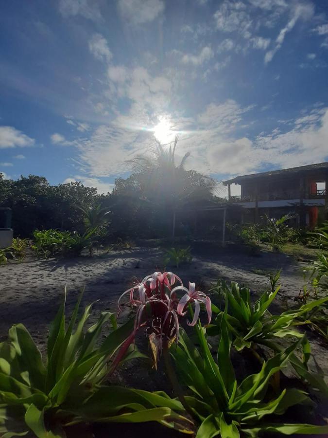Seaside Garden Ecolodge モンピチェ エクステリア 写真