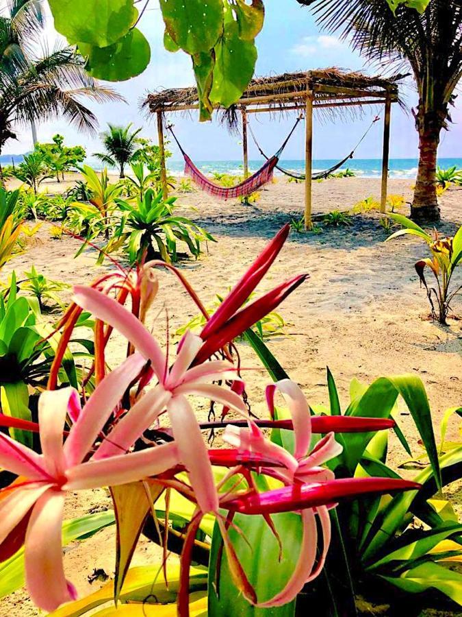 Seaside Garden Ecolodge モンピチェ エクステリア 写真